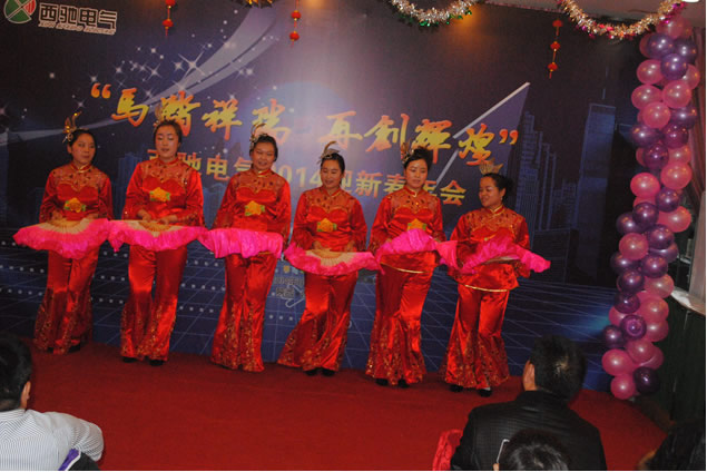 西驰电气年会圆满成功(图11) 西驰电气年会圆满成功(图11)